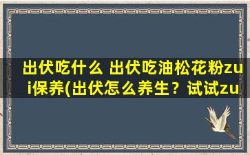 出伏吃什么 出伏吃油松花粉zui保养(出伏怎么养生？试试zui保养的油松花粉！)